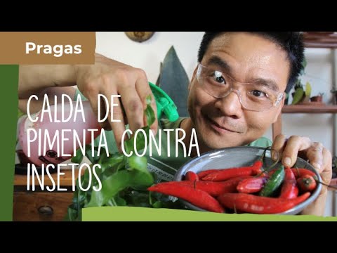 Como Evitar Queimaduras ao Vaporizar: Dicas Essenciais